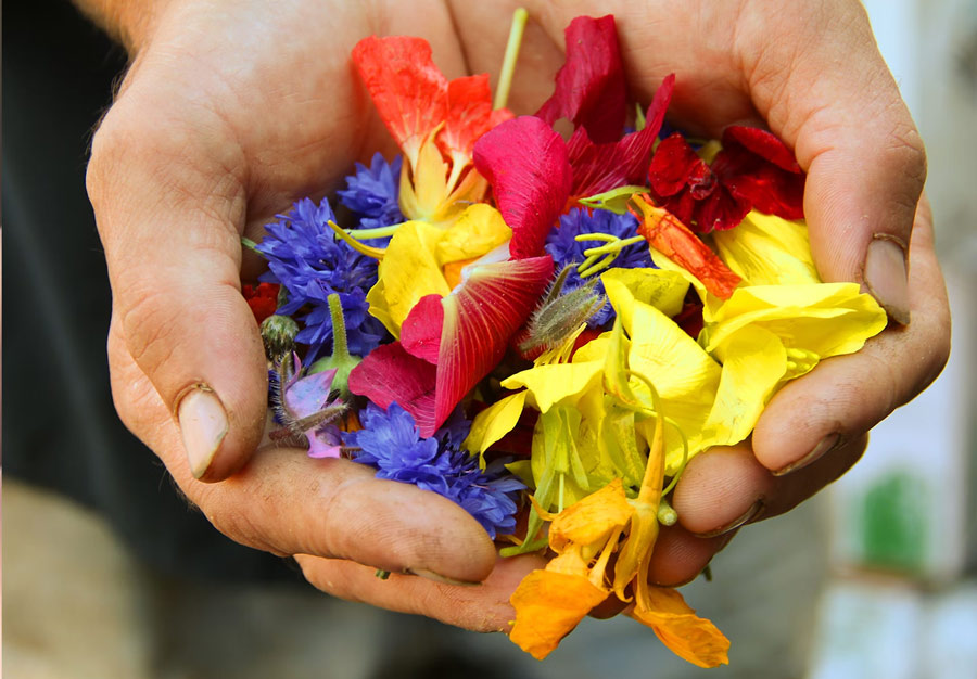 what to offer to lord ram