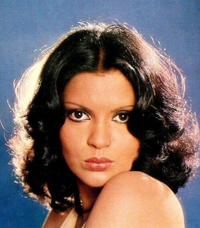 zeenat aman advice live in