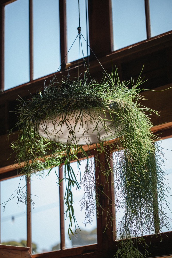 Balcony Swing Ideas, Durable Benches & Stylish Chairs, How to decorate my small balcony with plants without, Balcony Decoration Items