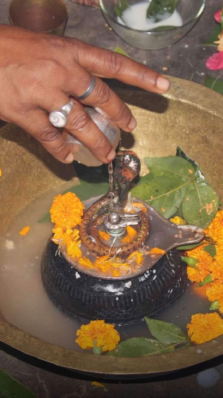 Benefits Of Rudrabhishek