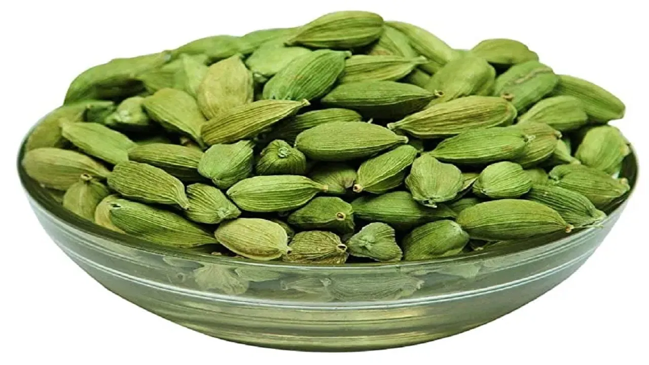 Cardamom Farming