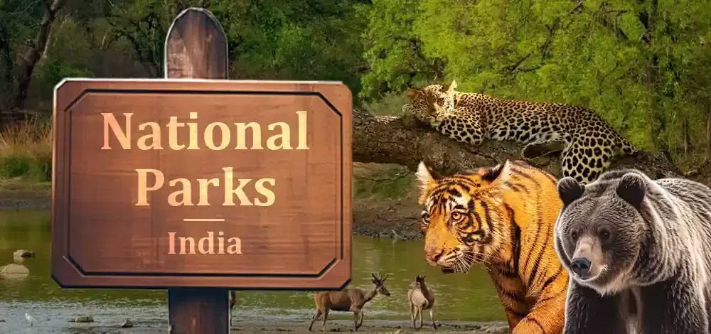 Difference Between National Park And Wildlife Sanctuary