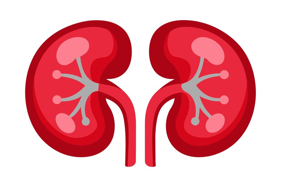 How Much Water for Kidney Health ()
