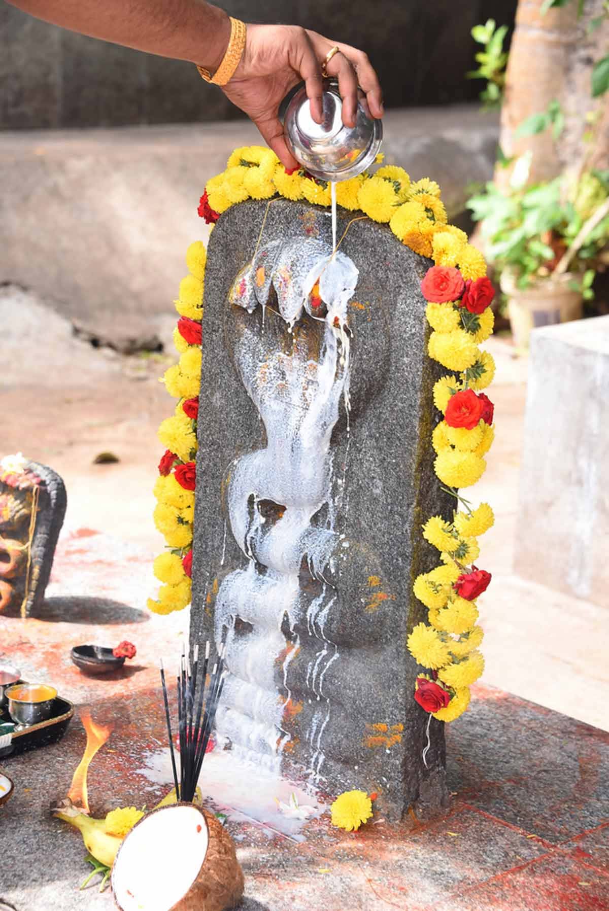 Nag Panchami date