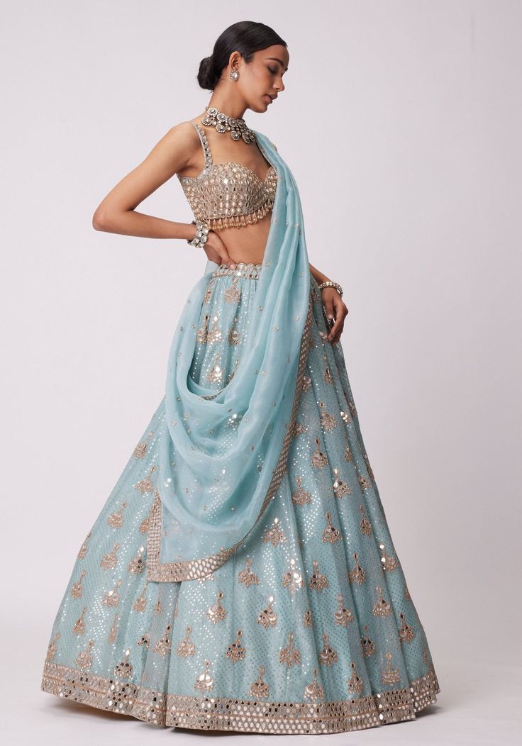 Sequin Organza Lehenga With Dupatta