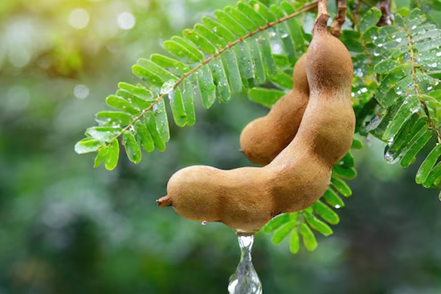 Tamarind Chutney Recipe,