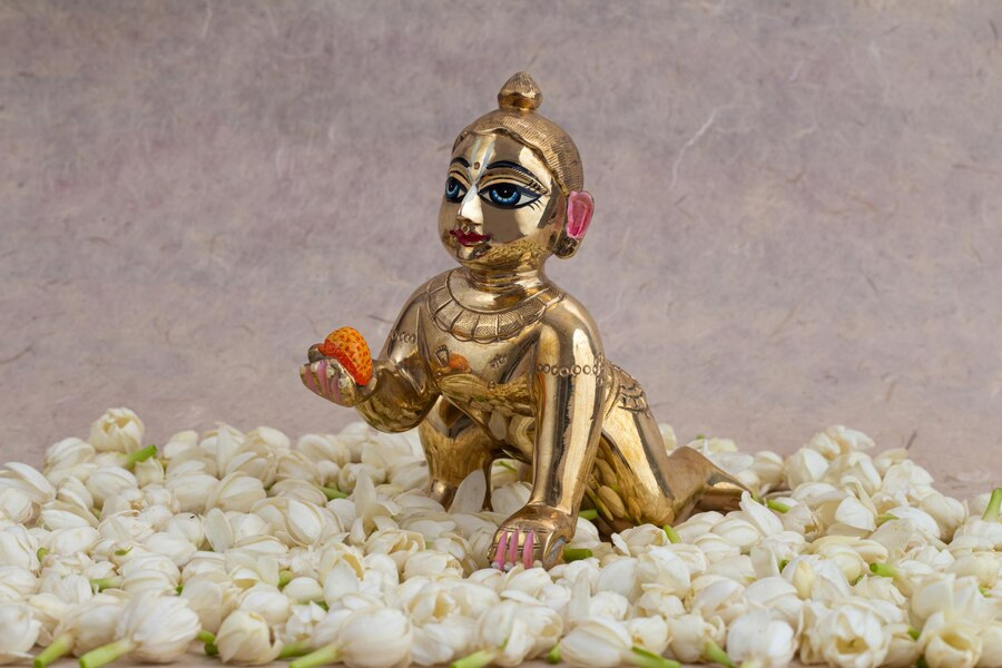 Vastu Tips For Laddu Gopal