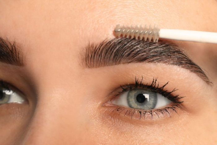 bold and beautiful eyebrows tips to make your eyebrows look darker