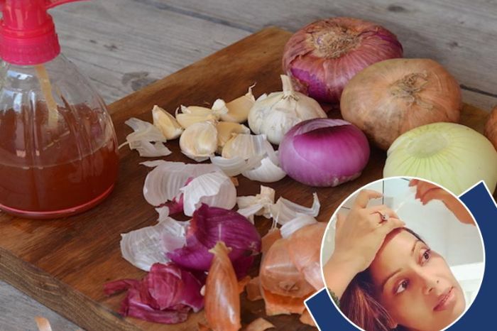 easy steps to make onion shampoo at home for shiny and strong hair