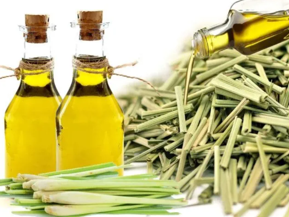 lemon grass oils