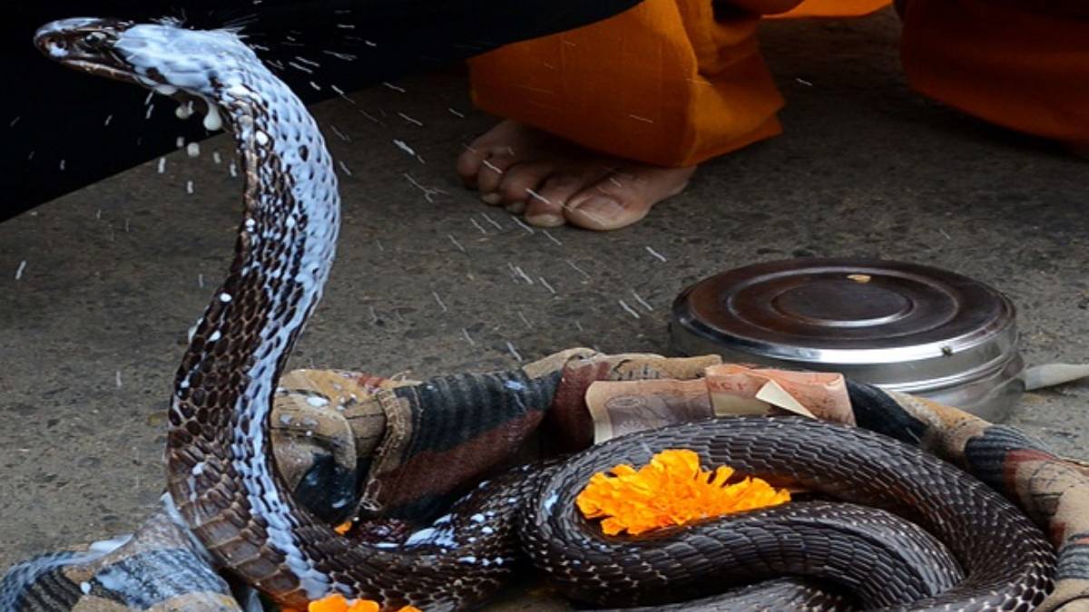 nag panchami shubh yoga