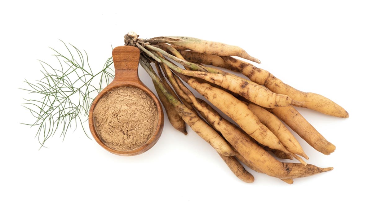 shatavari for breast milk