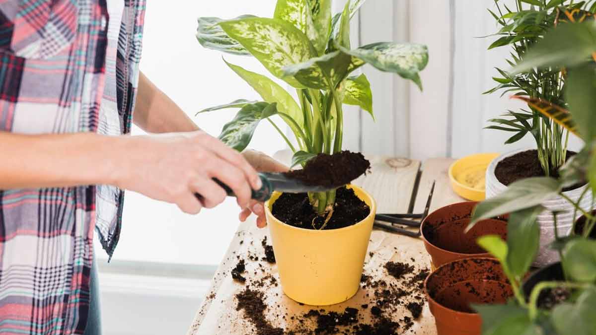 Choosing The Right Containers