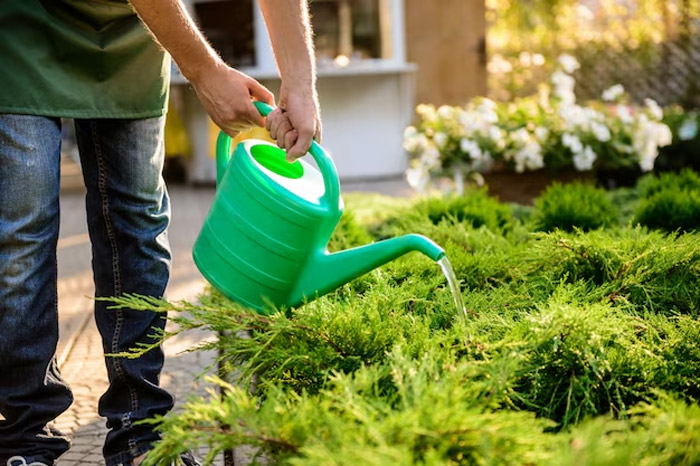Farming Without Fertiliser