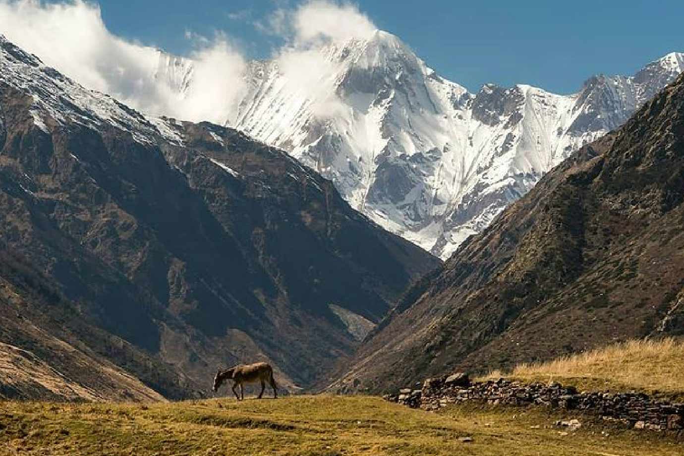 Johar valley trade route history