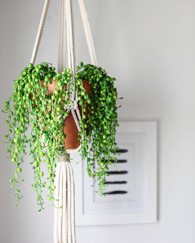String of Pearls