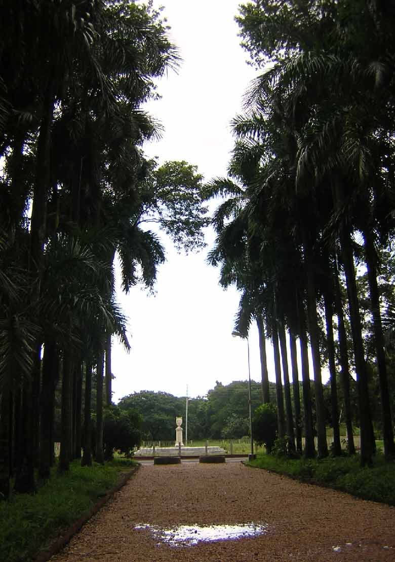 The Acharya Jagadish Chandra Bose Indian Botanic Garden