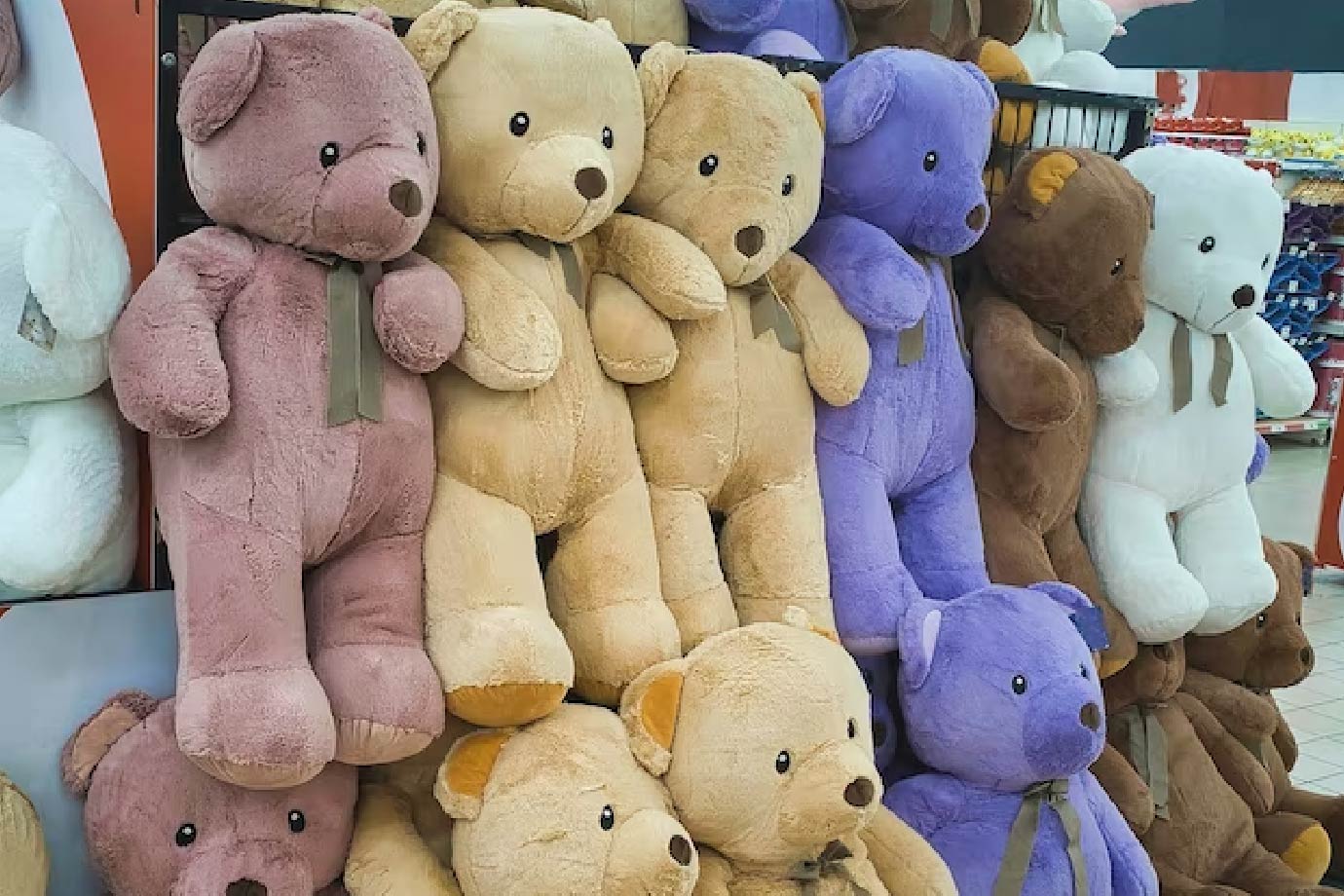 Which Type Of Teddy Bear Girls Like