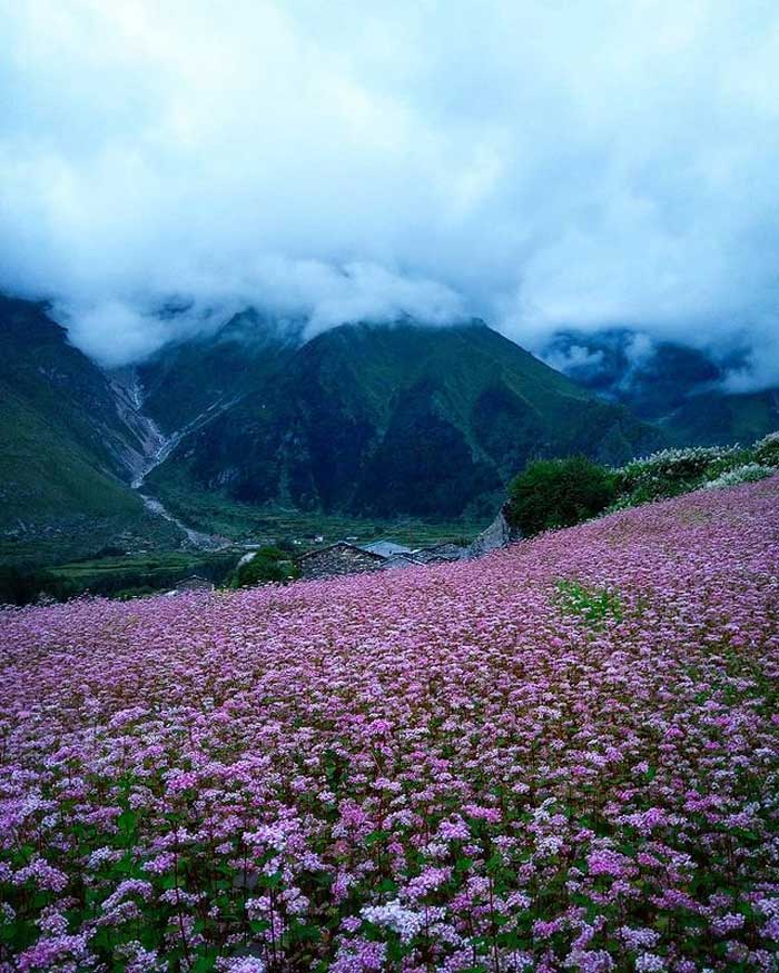 Why Darma valley is famous for travel