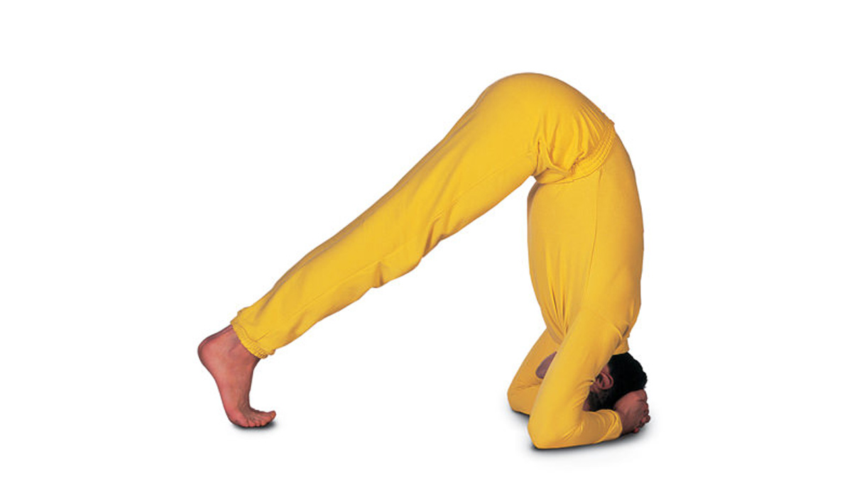 ardha sirsasana steps