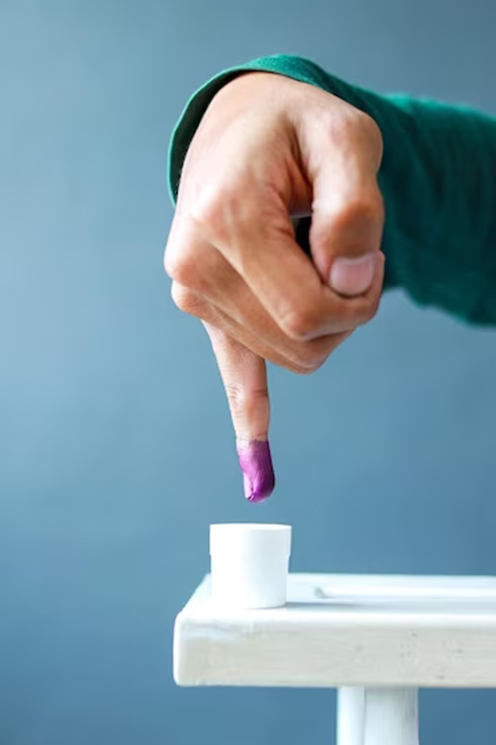 election marking ink