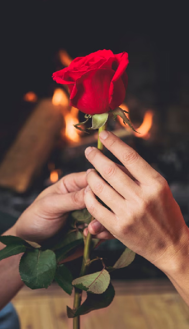 happy propose day images quotes messages