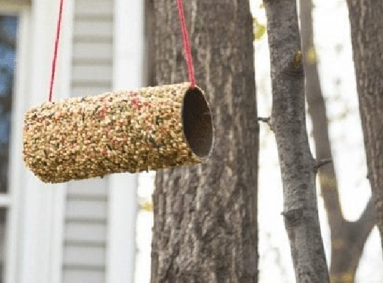 how to make bird feeder