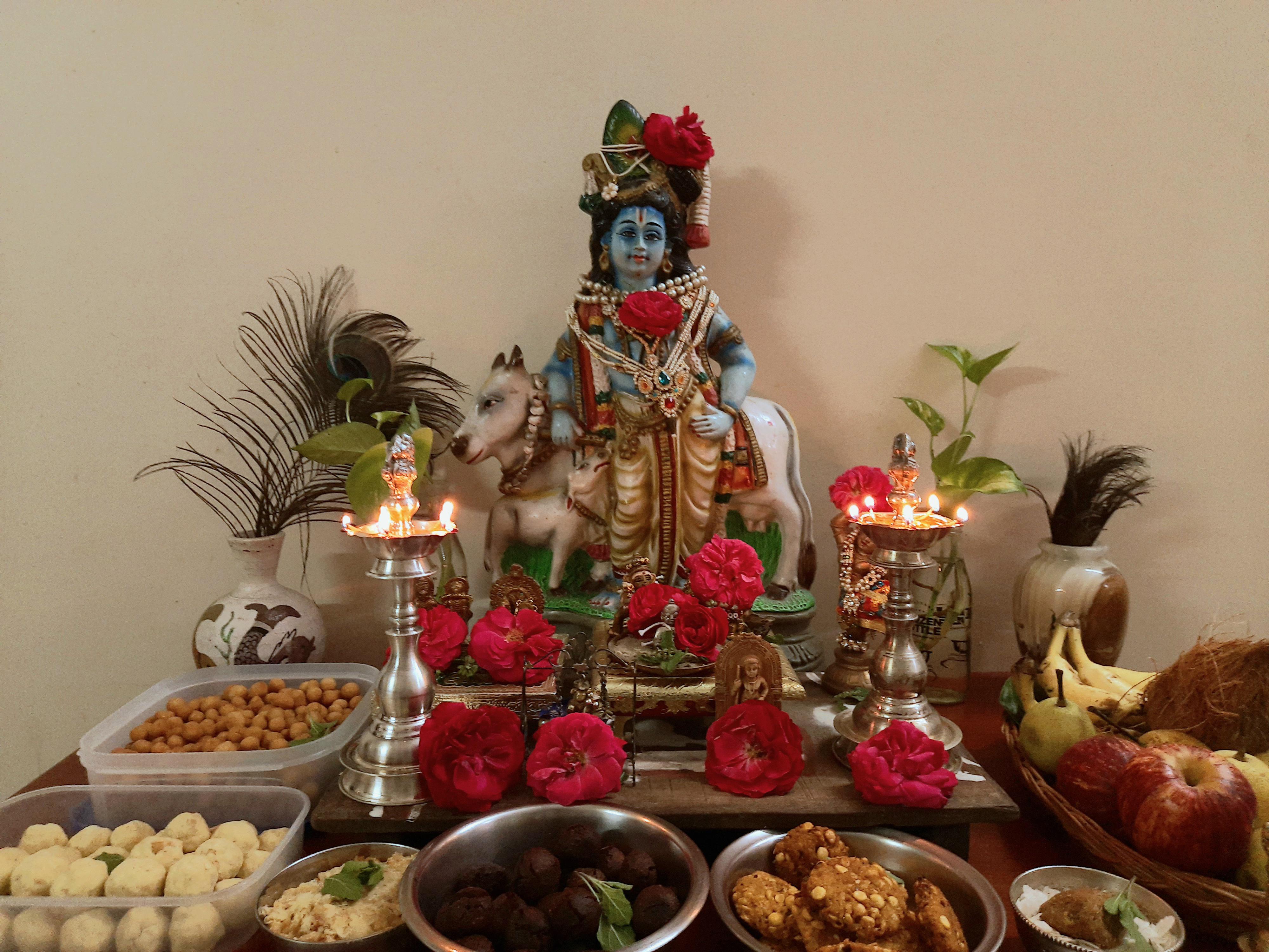 krishna puja in falgun