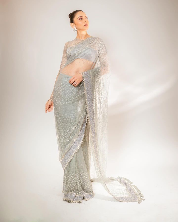 net saree designs