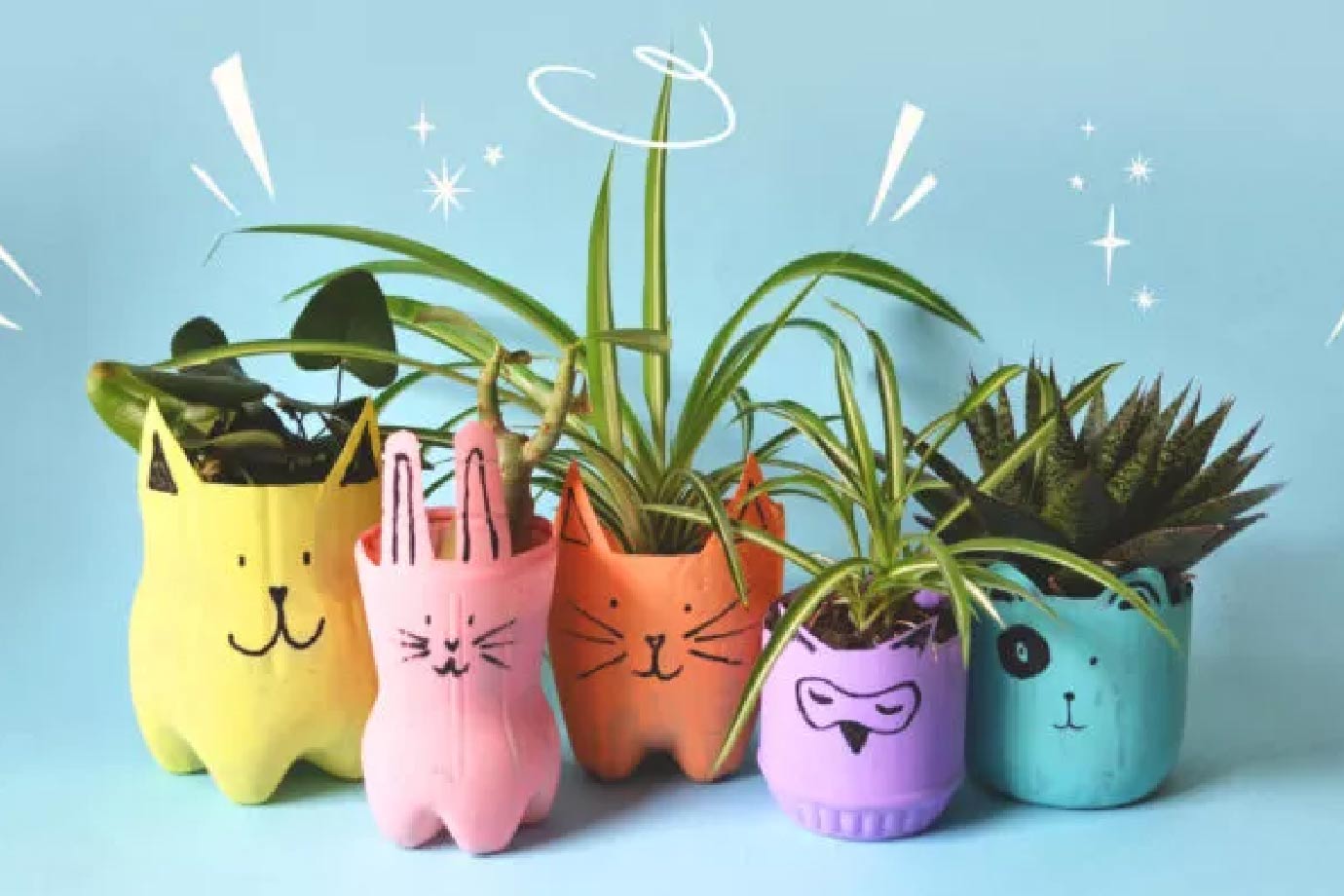 reuse idea plastic bottel