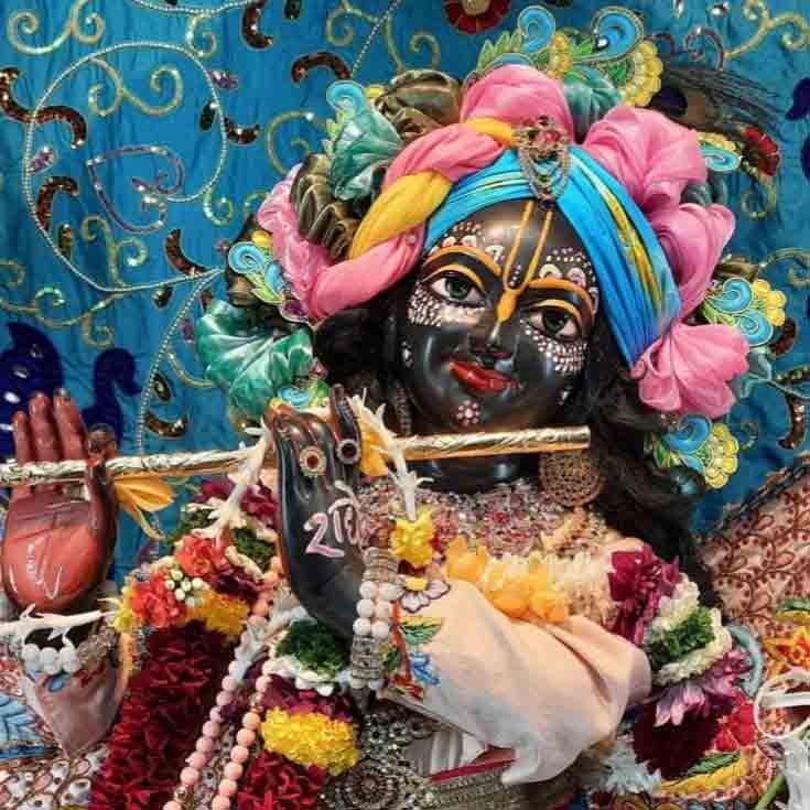 seven thakur ji of vrindavan dham