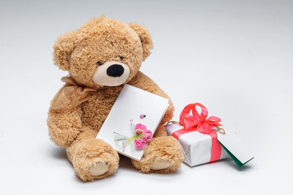 teddy day unique gift idea under rupees