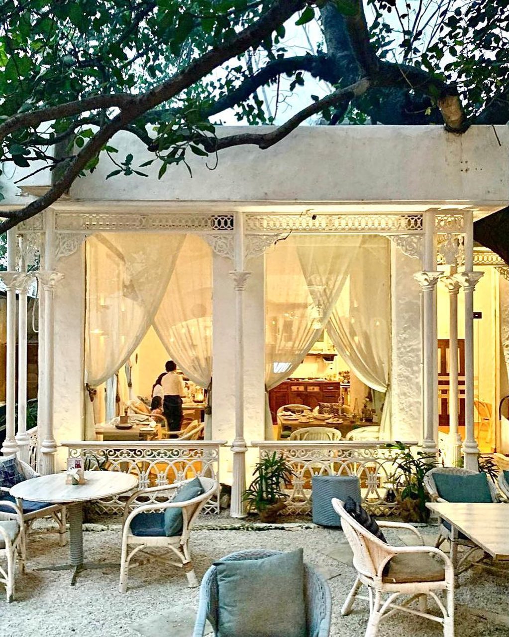 v day brunch Olive Bar & Kitchen Mehrauli