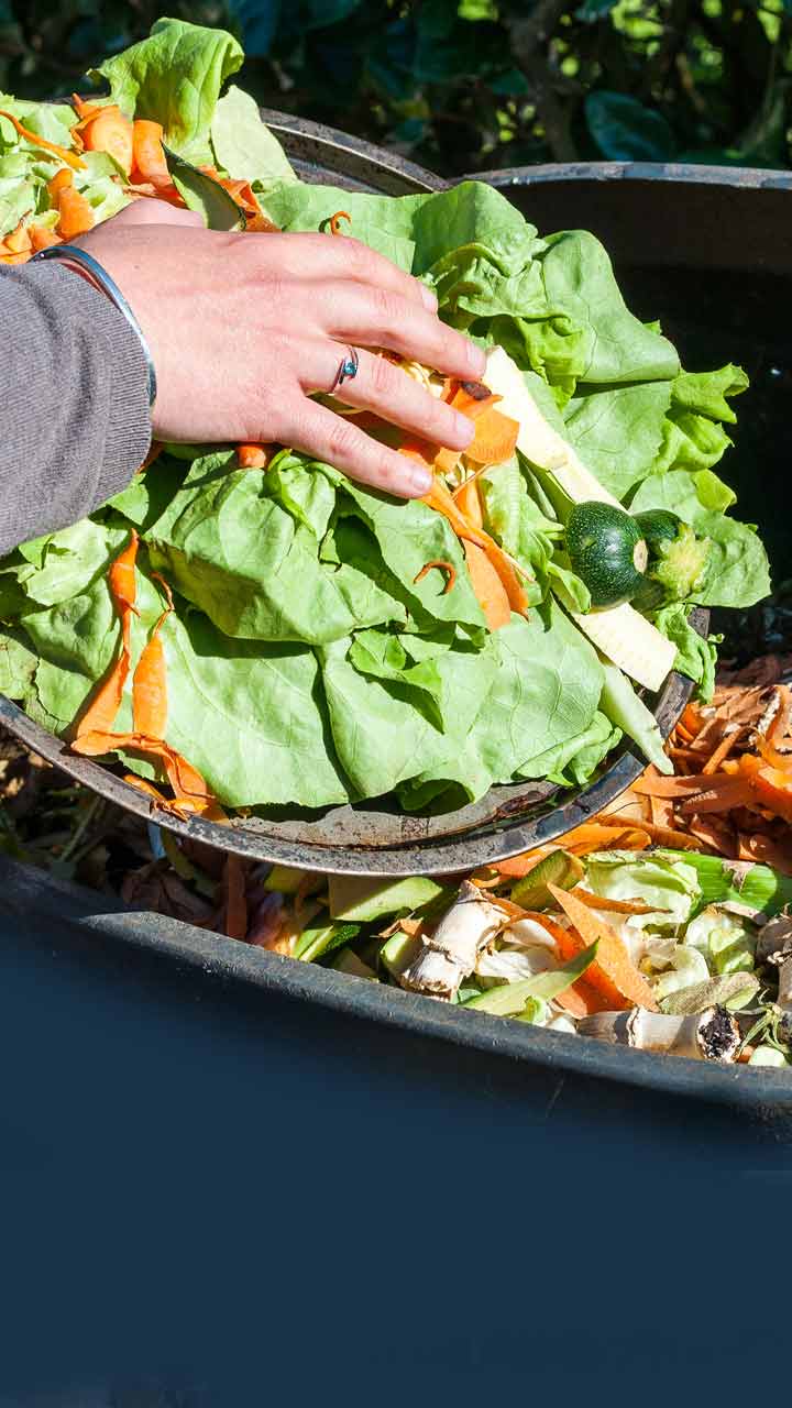 make compost by using kitchen waste cover