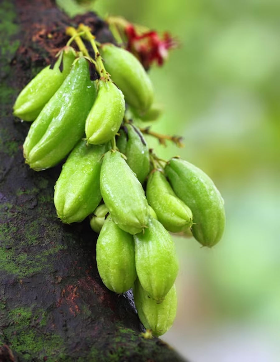 Bilimbi fruit,
