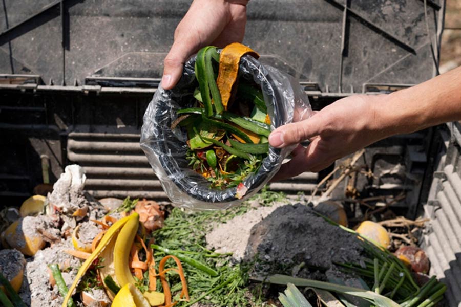 How compost is made from kitchen waste