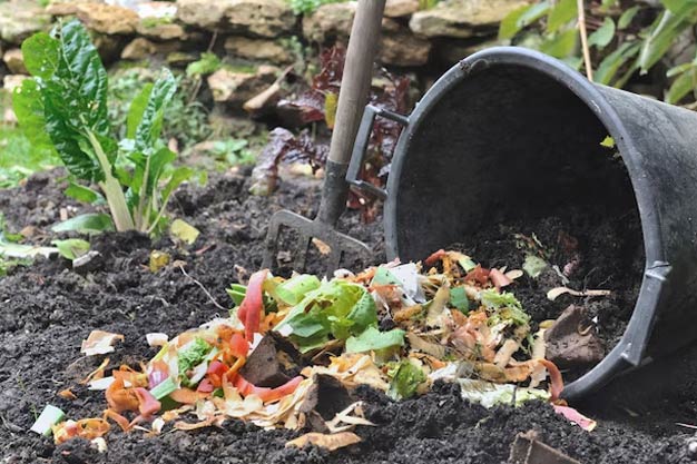 How compost is made from waste