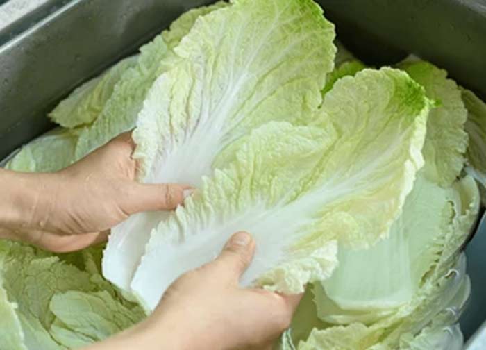 What are the main ingredients of momos