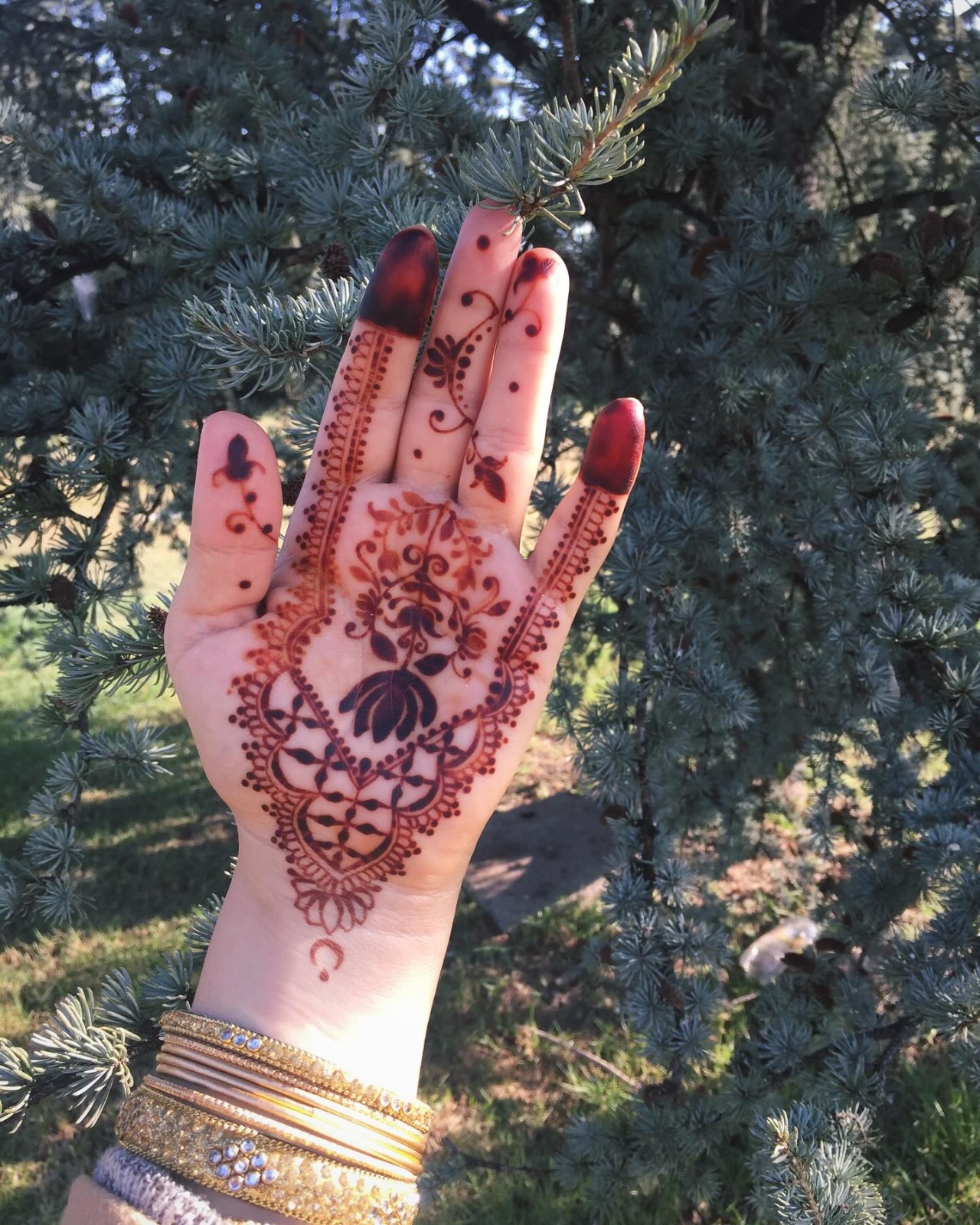 WhatsApp Image at .. PM