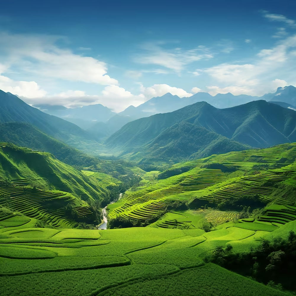 Why is Munnar so famous