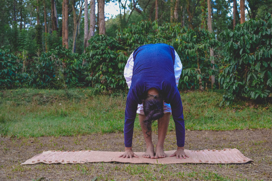 anti ageing Padahastasana