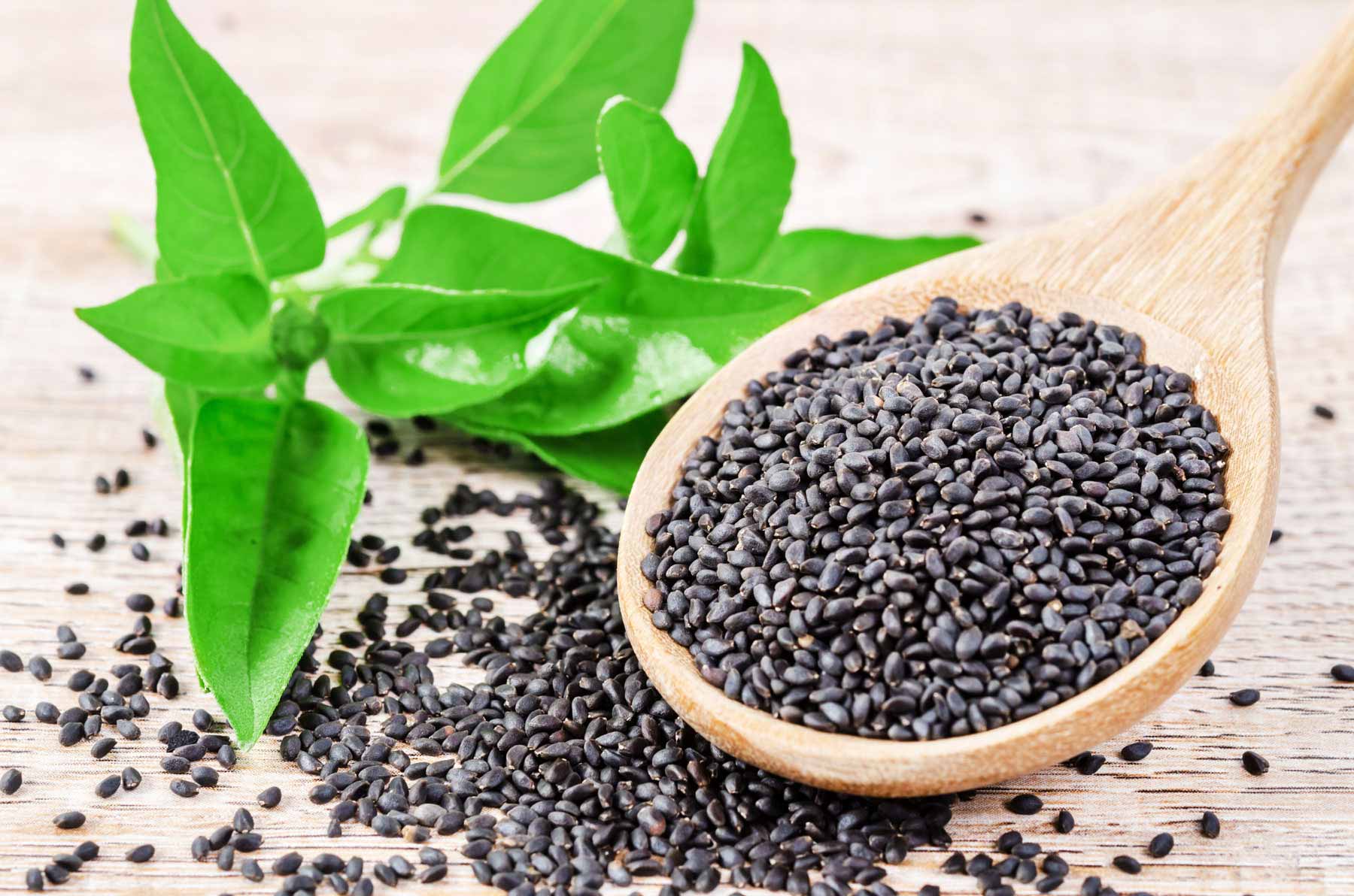 benefits of basil seeds