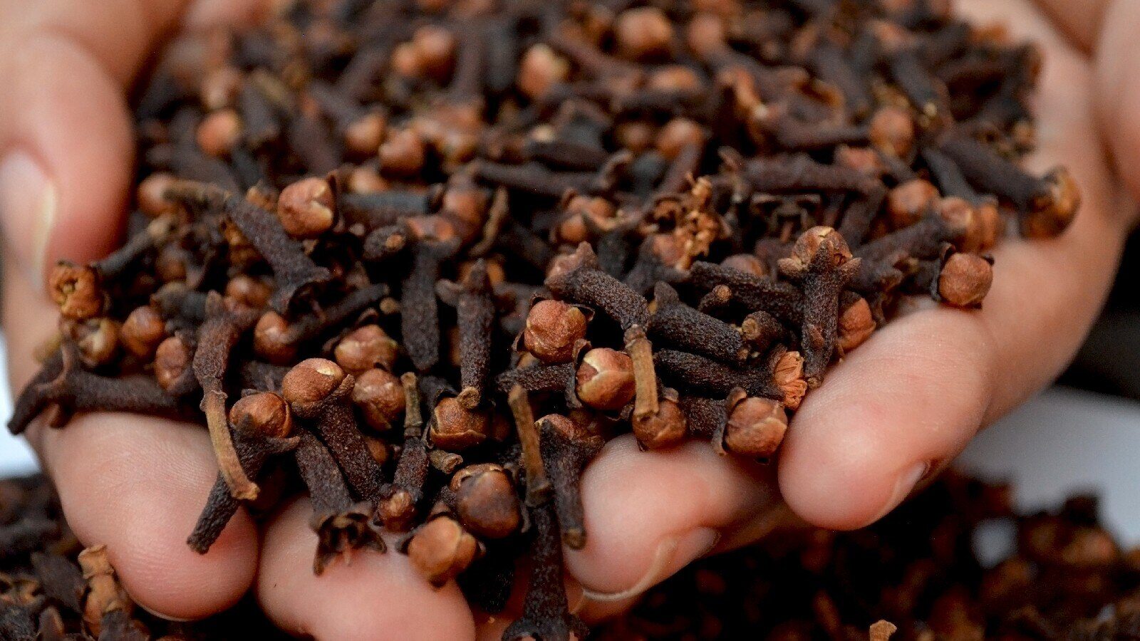 cloves for hair x