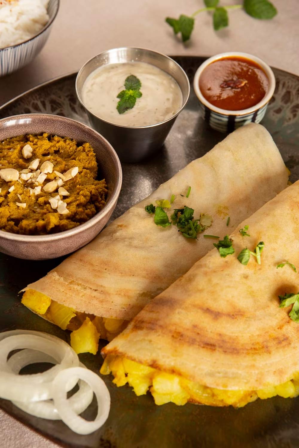 dosa spots delhi