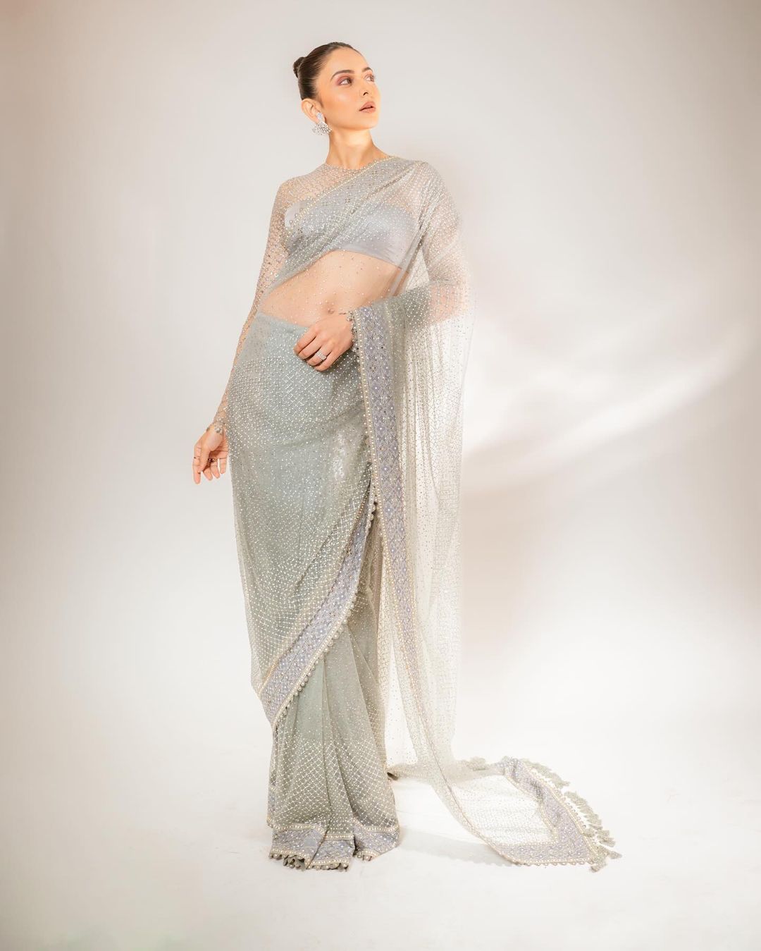 grey net saree
