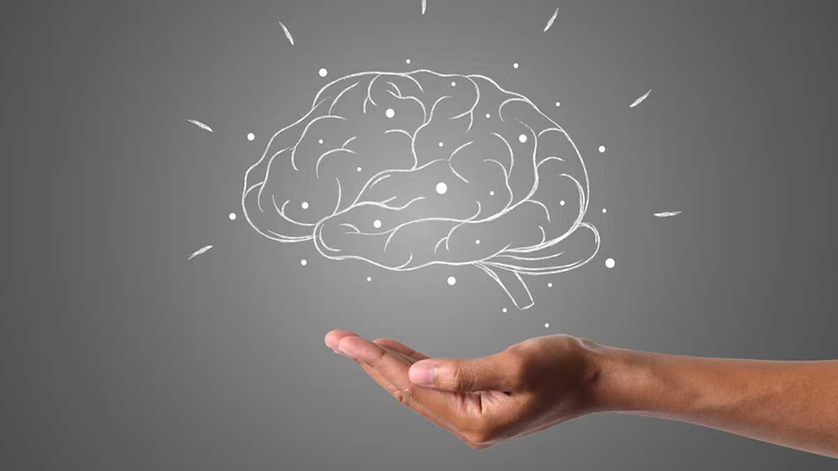 law for success life