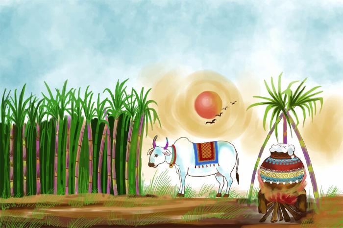 pongal celebrate in days