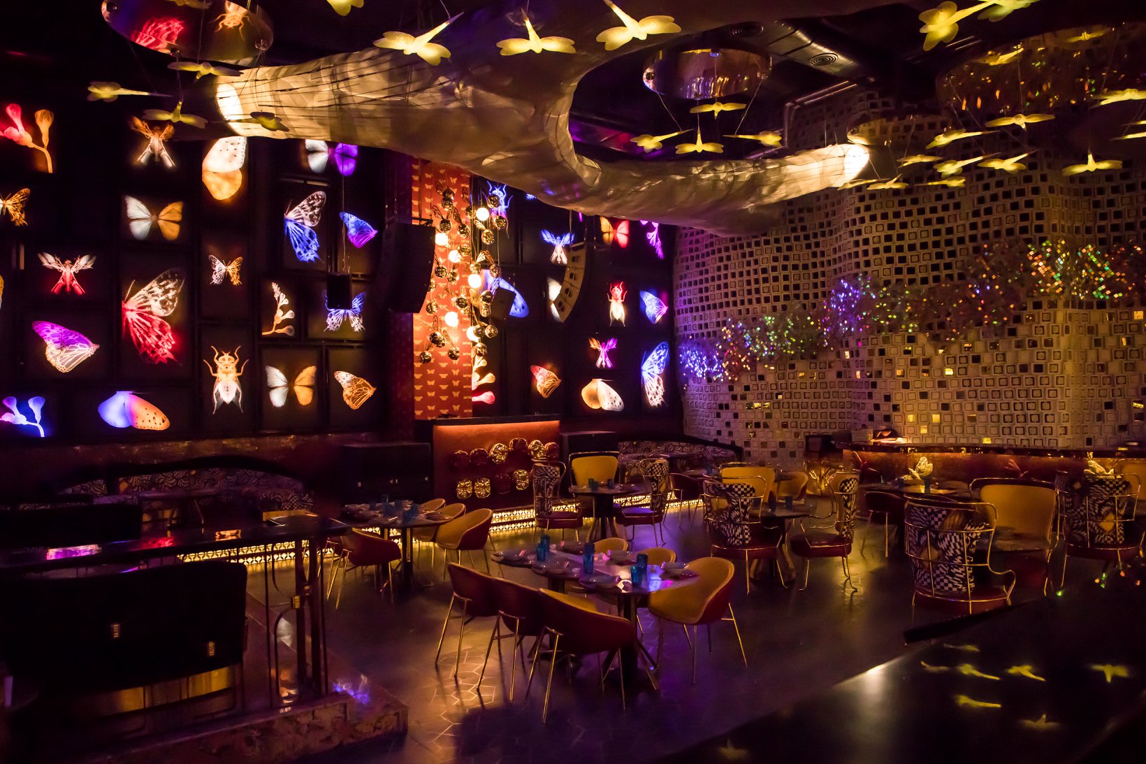 restaurantDragonfly Experience