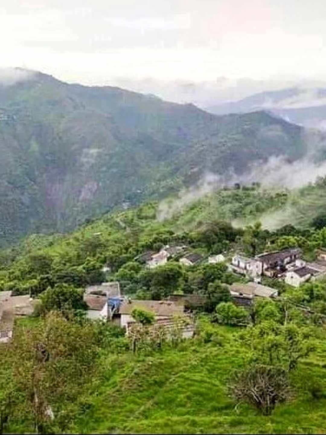 what is almora famous for