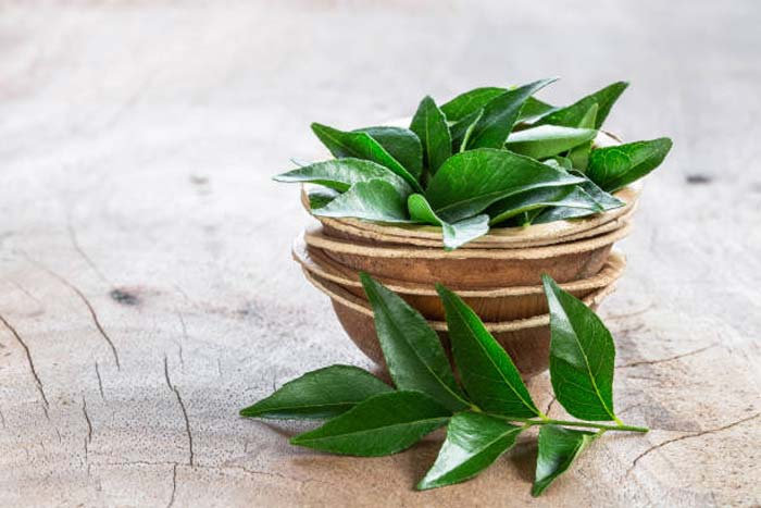 Benefits of Curry Leaves for Hair